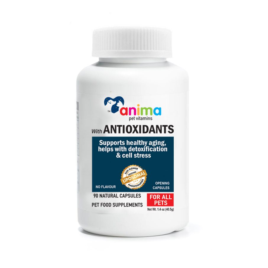 ANIMA-ANTIOXIDANT - ANTIOXIDANT 380mg / 90 CAPS ANTΙ AGING.DETOX.CELL STRESS - Amhes - Ελληνική εταιρία φυσικών συμπληρωμάτων διατροφής