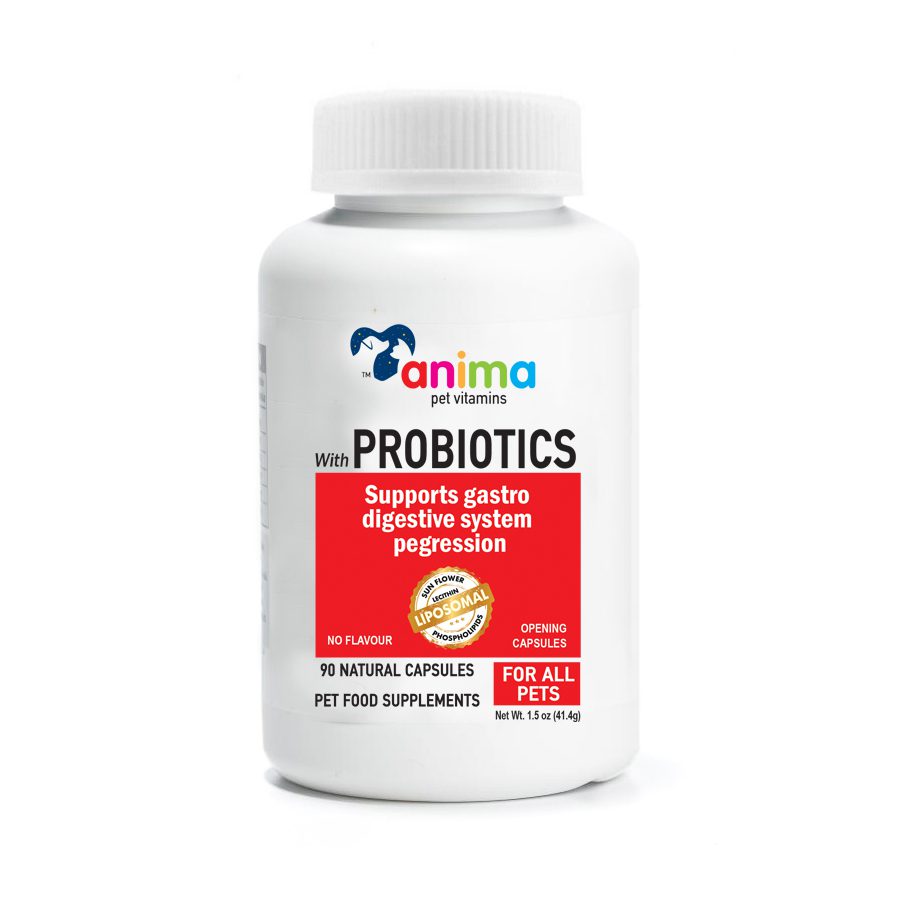 ANIMA-PROBIOTICS - ANTIOXIDANT 380mg / 90 CAPS ANTΙ AGING.DETOX.CELL STRESS - FOOD SUPPLEMENTS MANUFACTURING