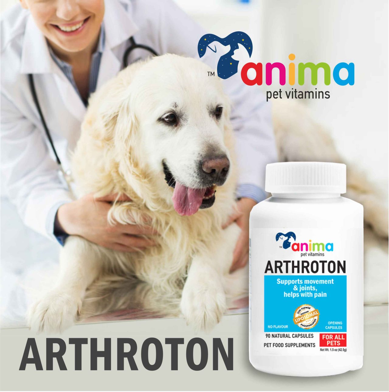 Arthroton_Anima - ANTIOXIDANT 380mg / 90 CAPS ANTΙ AGING.DETOX.CELL STRESS - Παραγωγη συμπληρωματων
