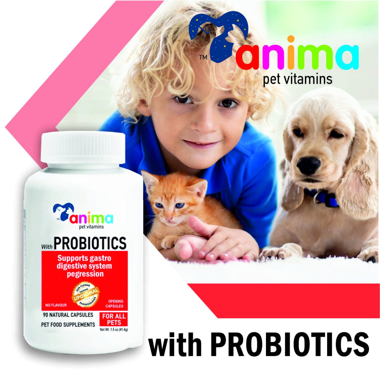 Probiotics_Anima - ANTIOXIDANT 380mg / 90 CAPS ANTΙ AGING.DETOX.CELL STRESS - Amhes - Ελληνική εταιρία φυσικών συμπληρωμάτων διατροφής