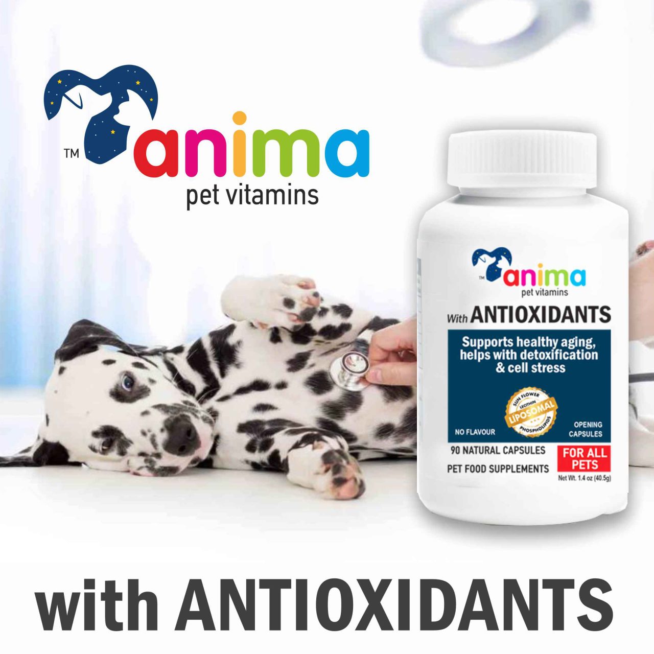 antioxidant - ANTIOXIDANT 380mg / 90 CAPS ANTΙ AGING.DETOX.CELL STRESS - Παραγωγη καλλυντικων