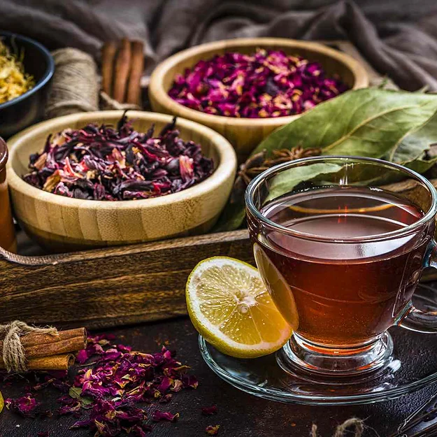 4d289b_cca8d44ab0674364856c2b9c3b5fd498~mv2