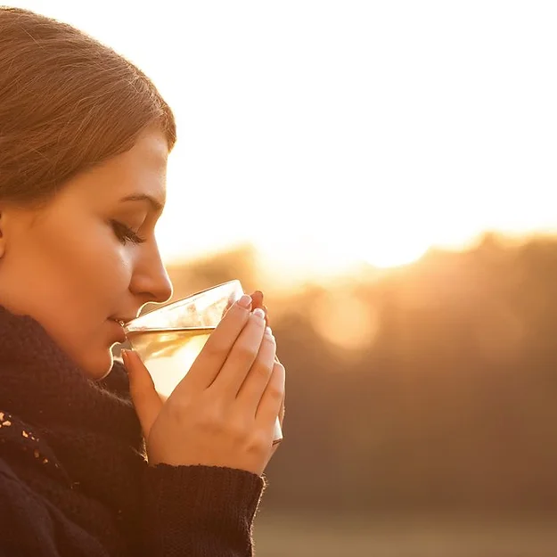 4d289b_dc3bc89034184ce5af8510f6cb144987~mv2