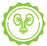 EUBIOTICA SPECIAL Teas: UroTEA με συστατικά που συμβάλλουν για την ομαλή λειτουργία του Ουροποιητικού - Image 6