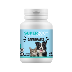 GASTROWELL | 1 BILLION 10S / 60 CAPS